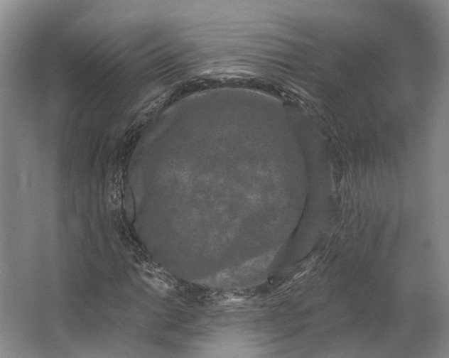 X0000062791014200601051040