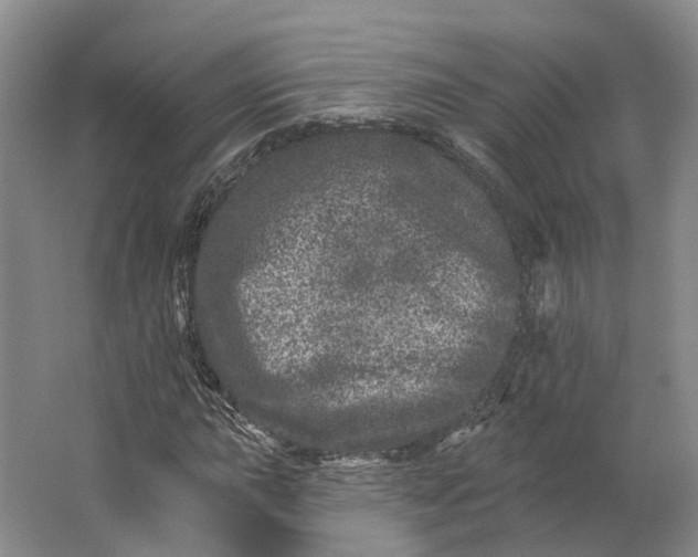 X0000062791015200601051040