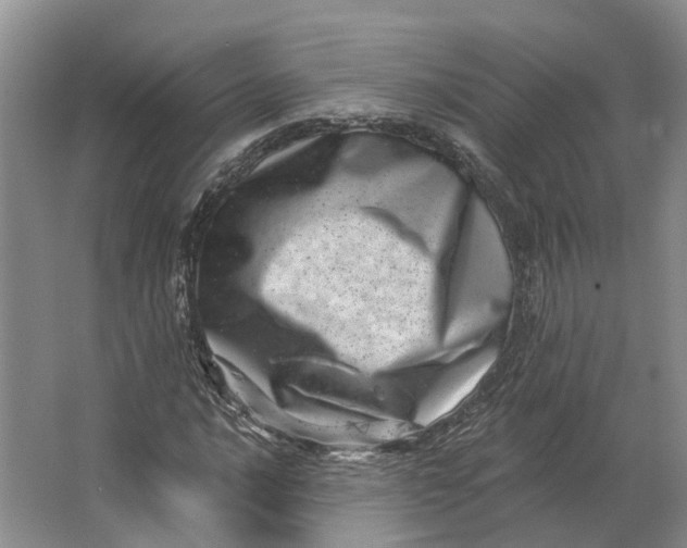 X0000062791016200601051040