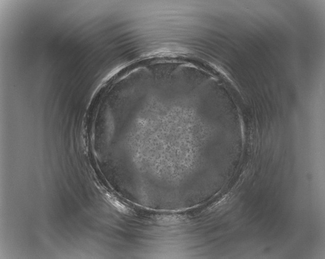 X0000062791018200601051040