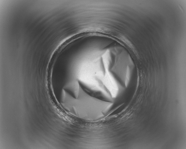 X0000062791020200601051040