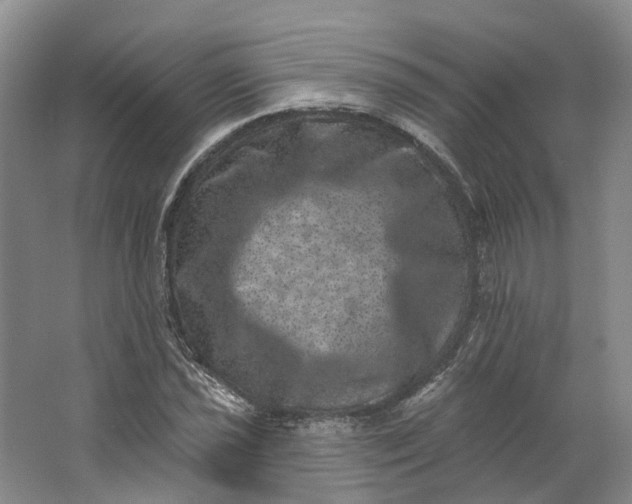 X0000062791021200601051040