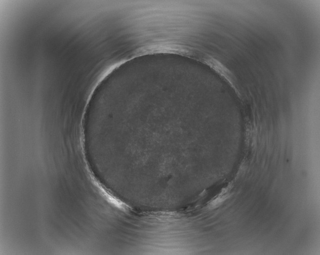 X0000062791024200601051040