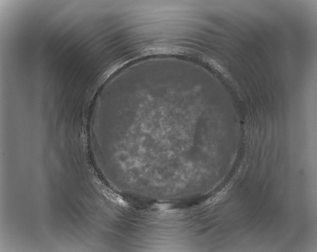 X0000062791025200601051040