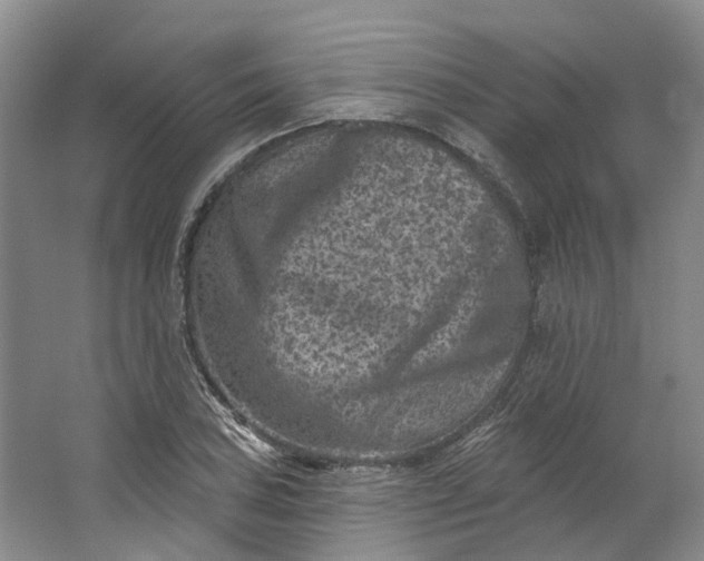 X0000062791027200601051040