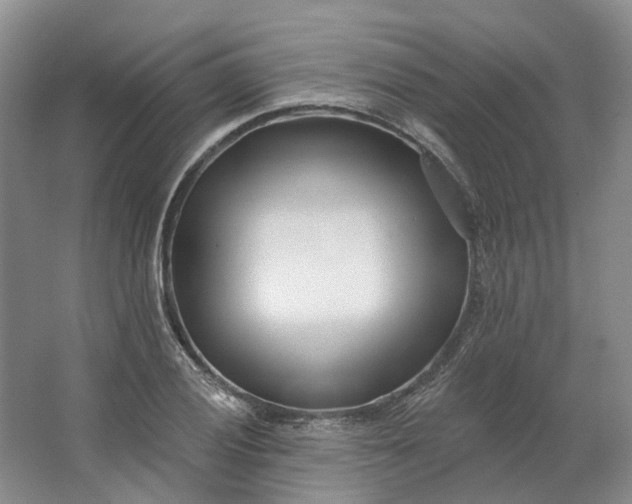 X0000062791028200601051040