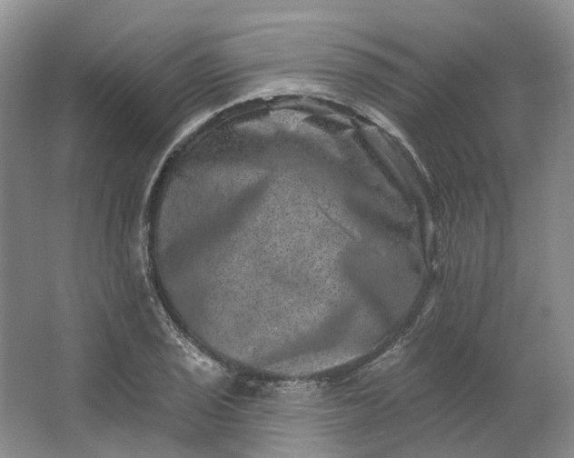 X0000062791029200601051040