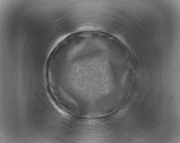 X0000062791030200601051040