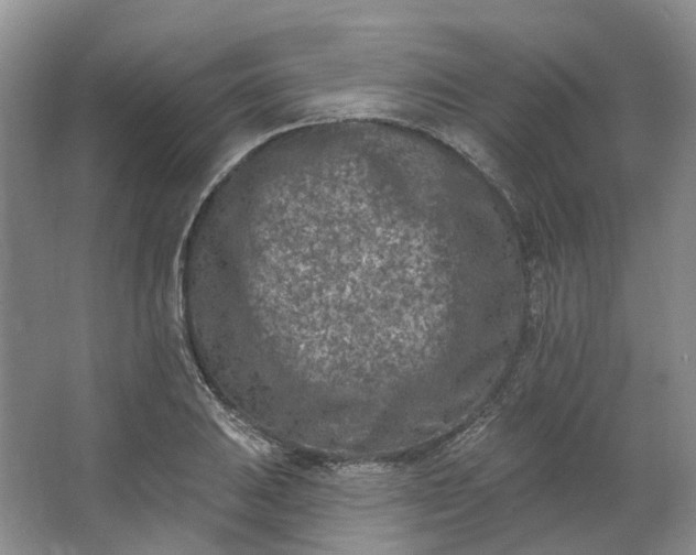 X0000062791031200601051040