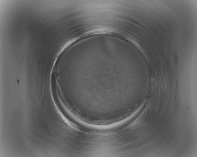 X0000062791034200601051040