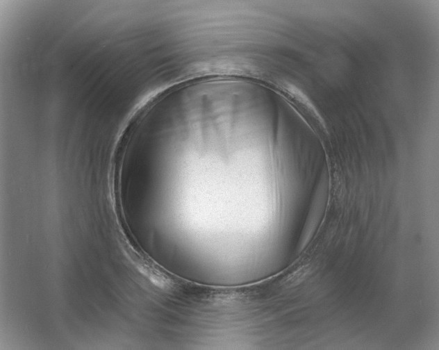 X0000062791035200601051040