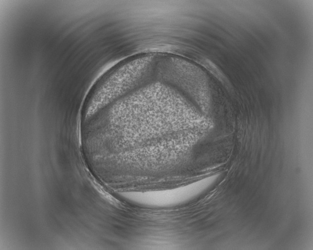 X0000062791036200601051040