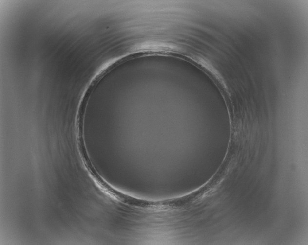 X0000062791037200601051040