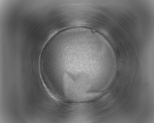 X0000062791039200601051040