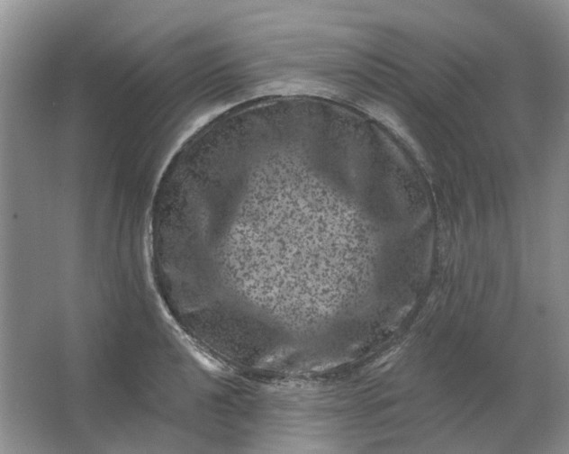 X0000062791040200601051040