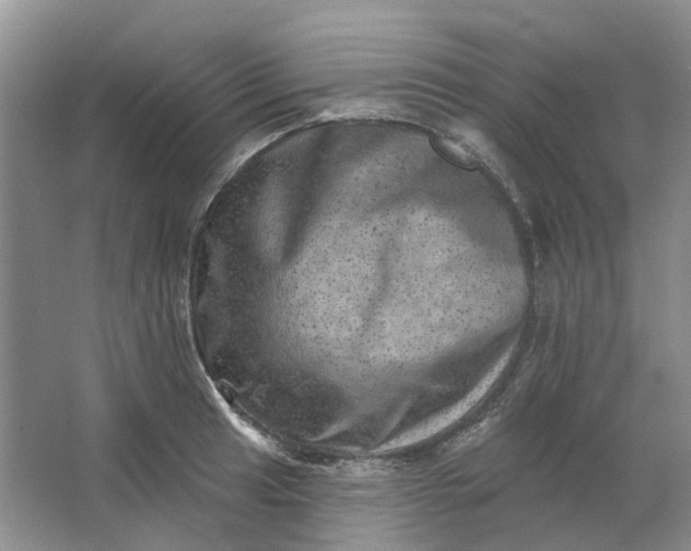 X0000062791041200601051040