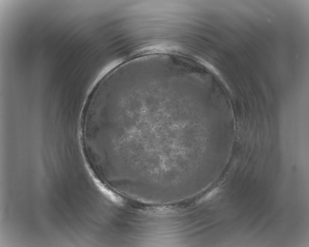 X0000062791042200601051040