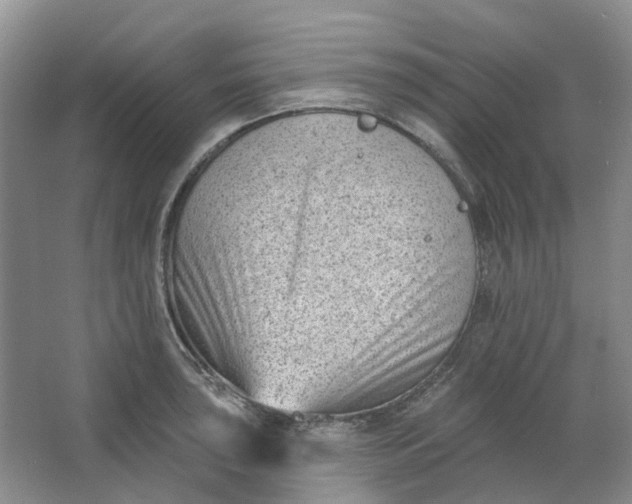 X0000062791043200601051040