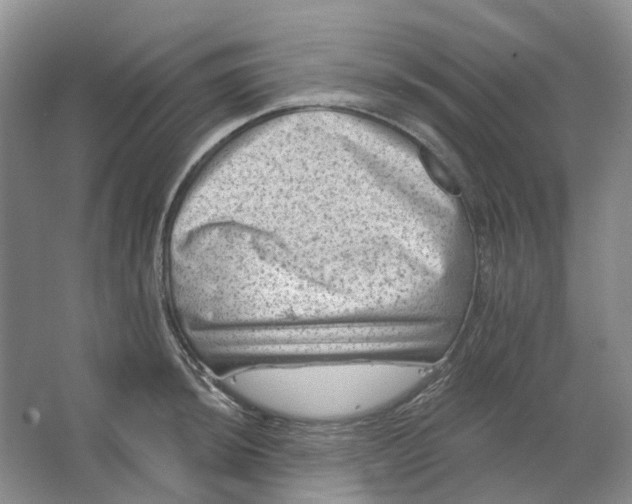 X0000062791044200601051040