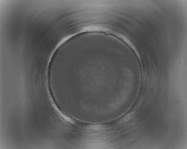 X0000062791045200601051040