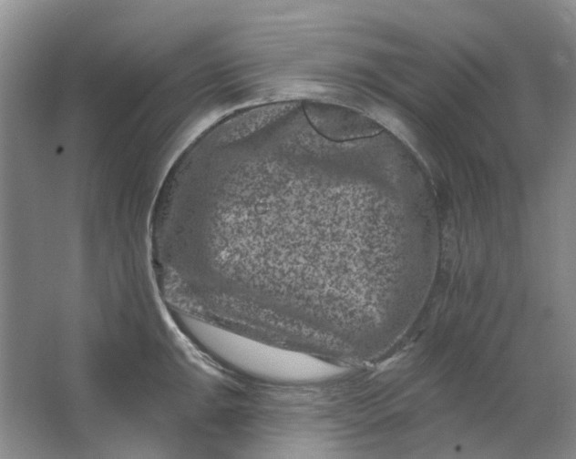 X0000062791047200601051040