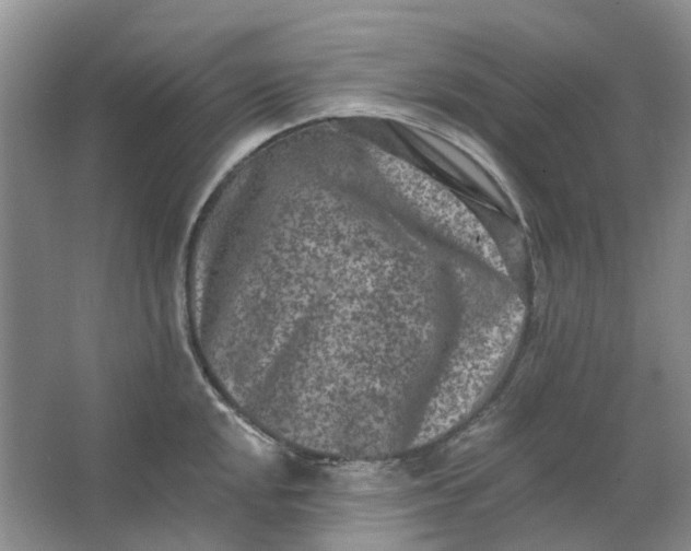 X0000062791048200601051040