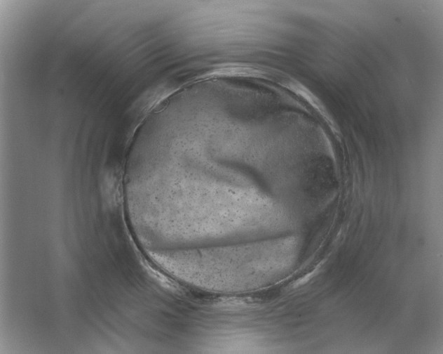 X0000062791049200601051040