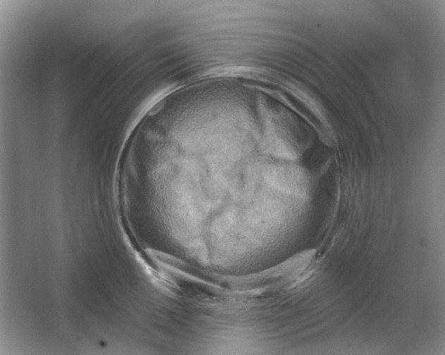 X0000062791050200601051040