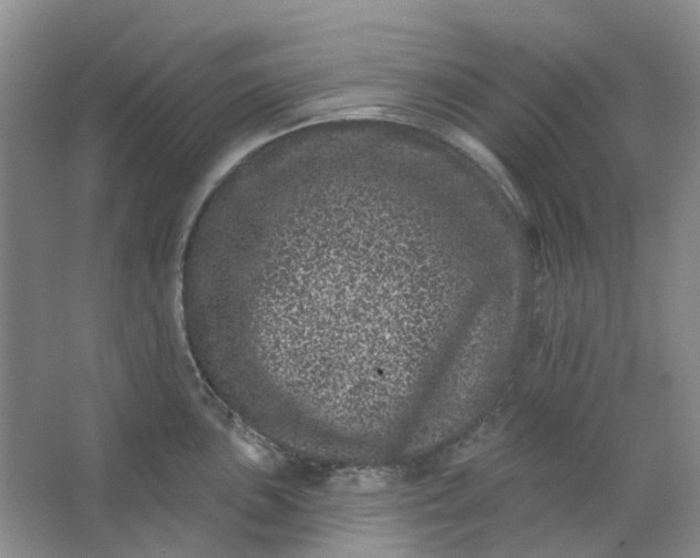 X0000062791051200601051040