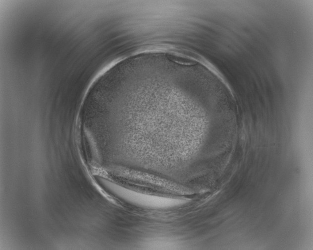 X0000062791053200601051041