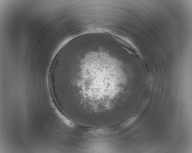 X0000062791054200601051041