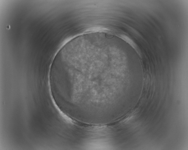 X0000062791055200601051041