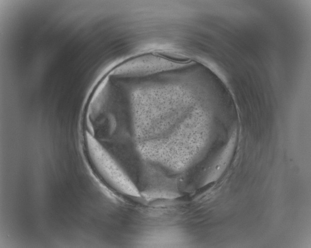 X0000062791056200601051041