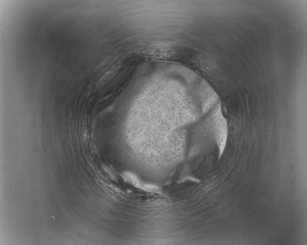 X0000062791058200601051040