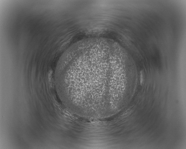 X0000062791059200601051040