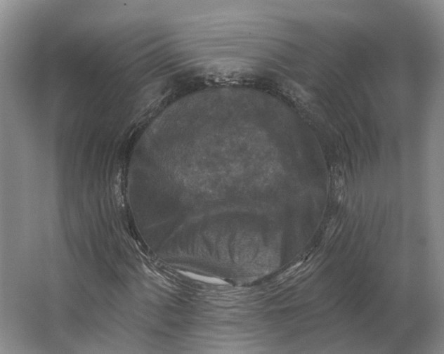 X0000062791060200601051040