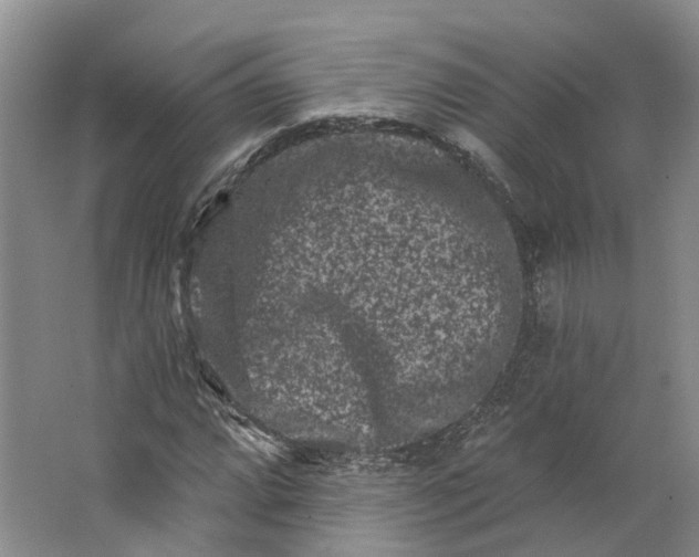 X0000062791064200601051040