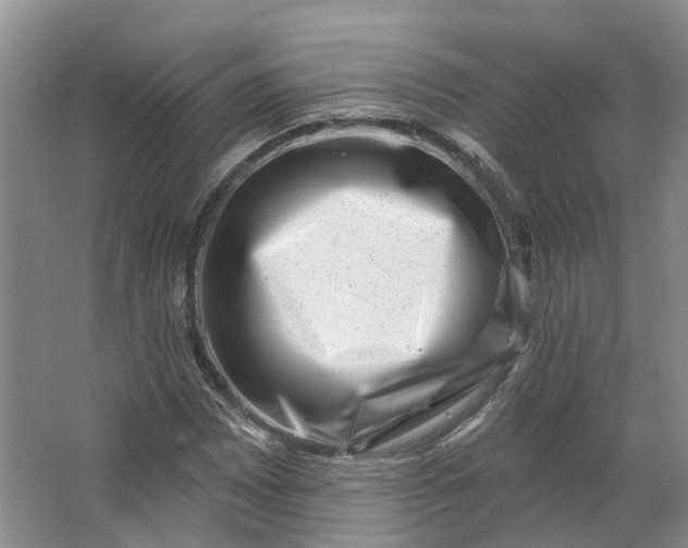 X0000062791065200601051040