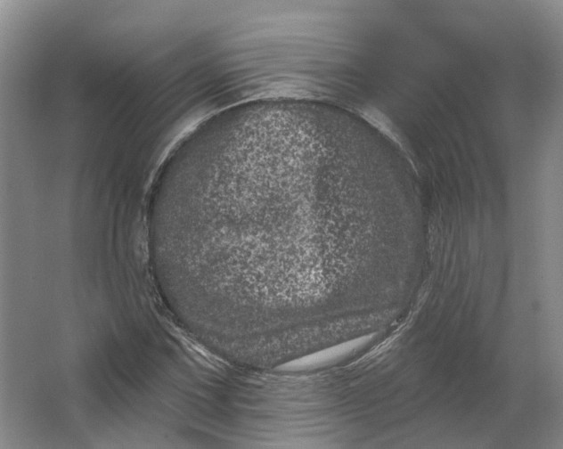 X0000062791067200601051040