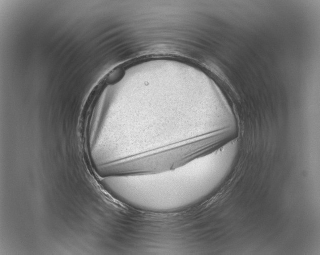 X0000062791068200601051040