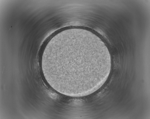 X0000062791070200601051040