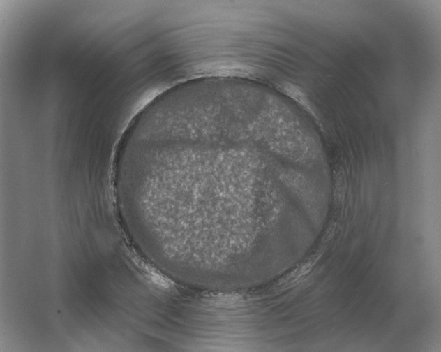 X0000062791071200601051040