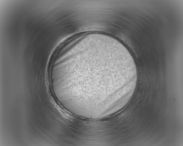 X0000062791072200601051040