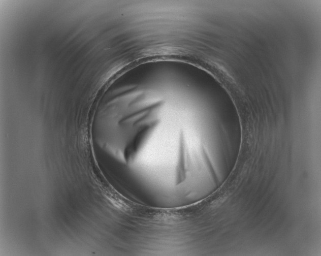 X0000062791073200601051039