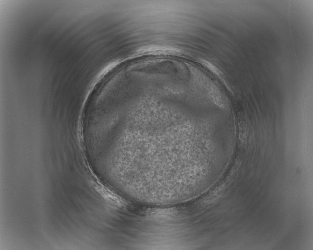 X0000062791074200601051039