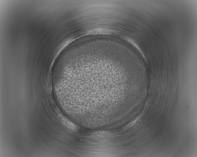 X0000062791075200601051039