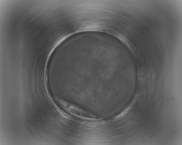 X0000062791077200601051039