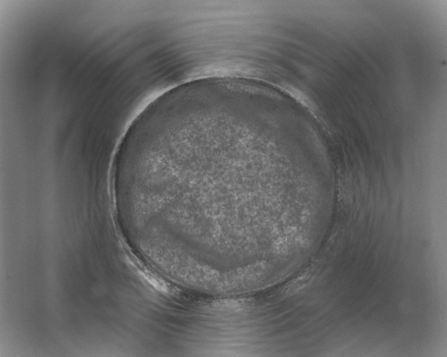 X0000062791078200601051039