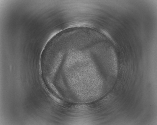 X0000062791079200601051039