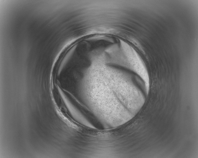 X0000062791080200601051039